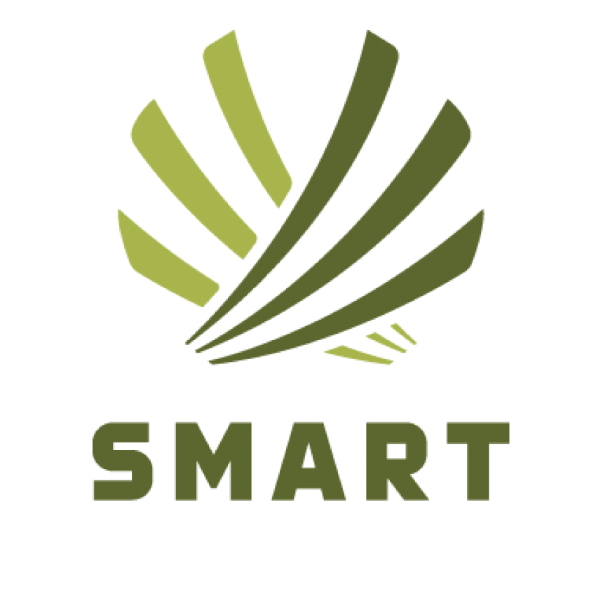 SMART